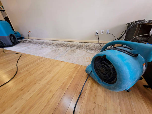 Professional Basement Flood Cleanup technician working in Kyburz, CA