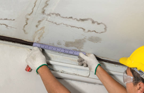 Affordable Basement Flood Cleanup solutions in Kyburz, CA